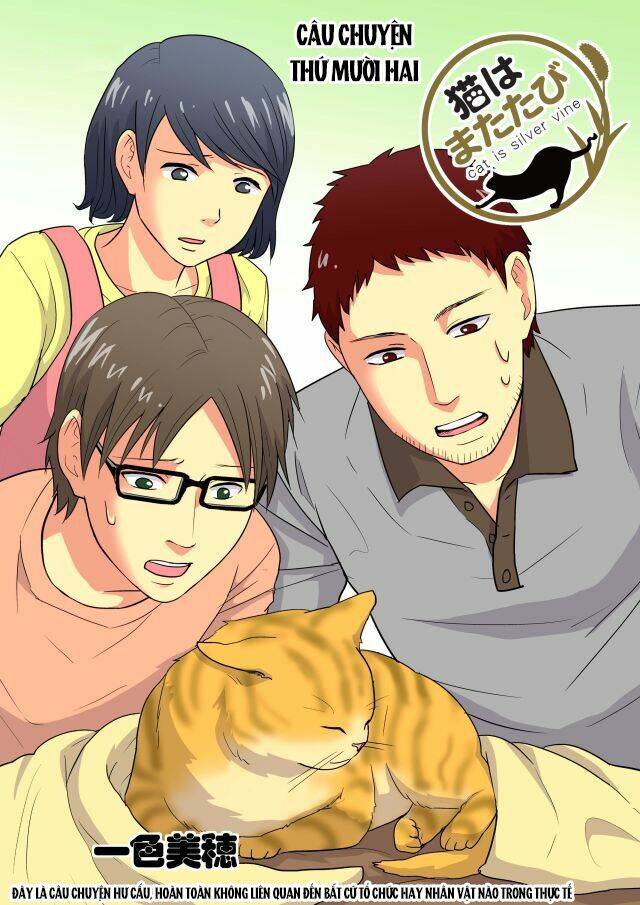 cat is silver vine chapter 12 1