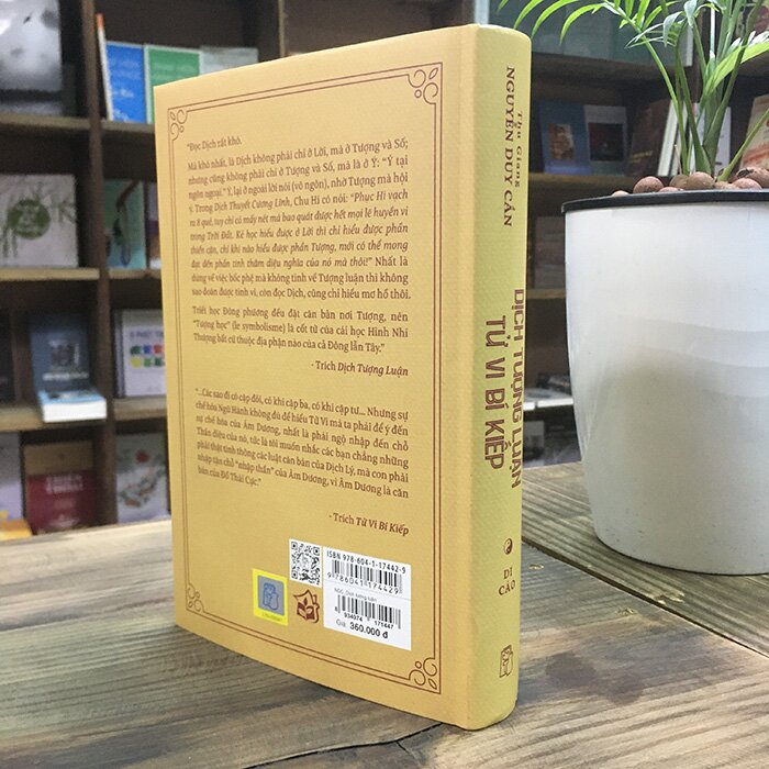 Dịch Tượng Luận - Tử Vi Bí Kiếp