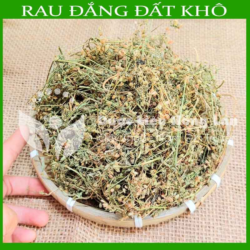 Cây Rau Đắng Đất khô sạch đóng gói 500gram