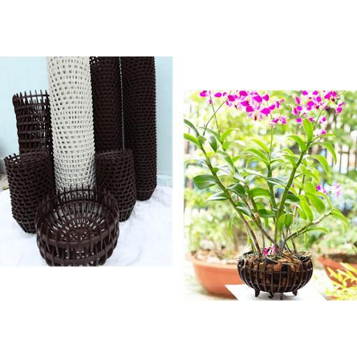 Chậu trồng lan - Chậu treo lan - chậu lan caro