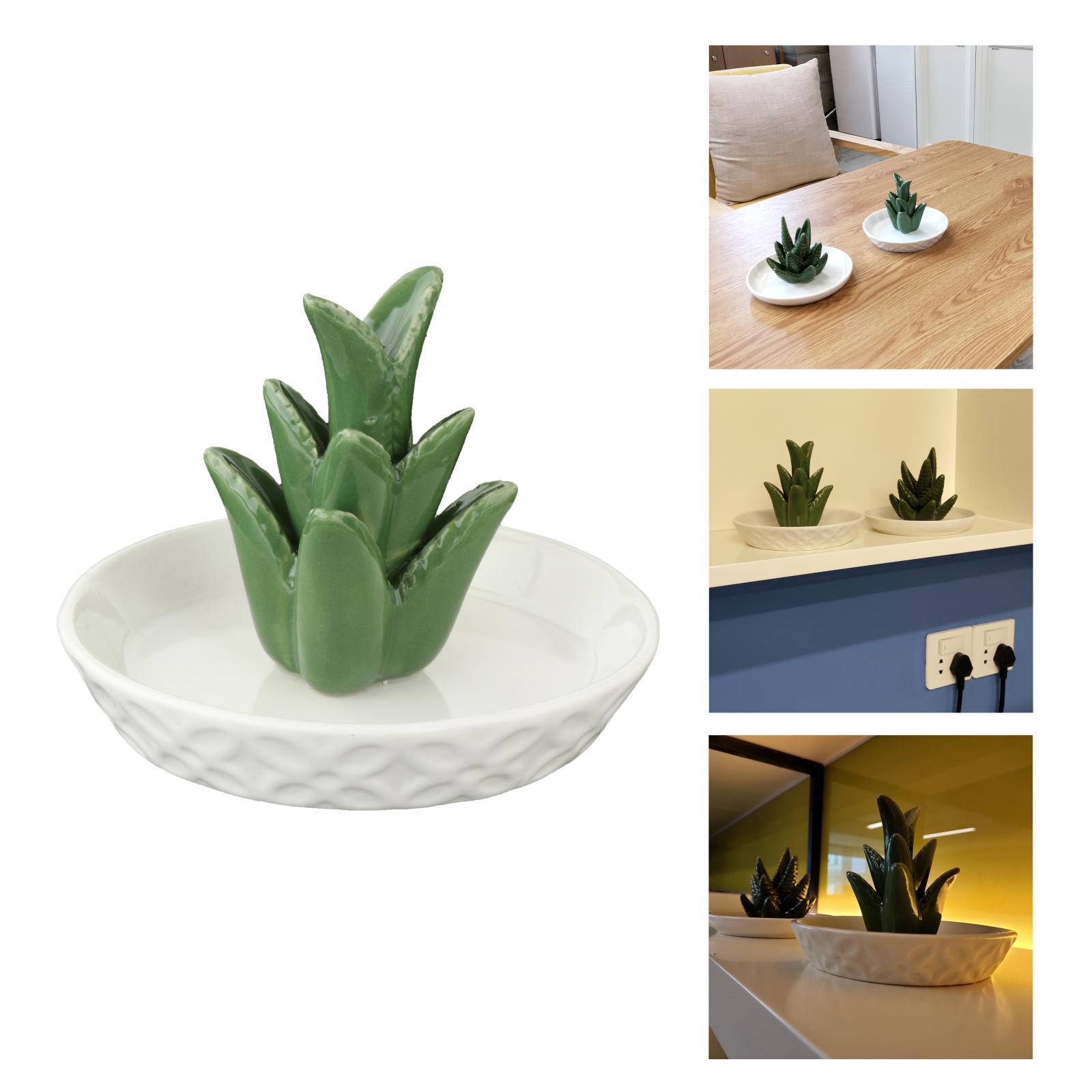 Ceramic Aloe Jewelry Holder Tray Earrings Organizer Decor Gift