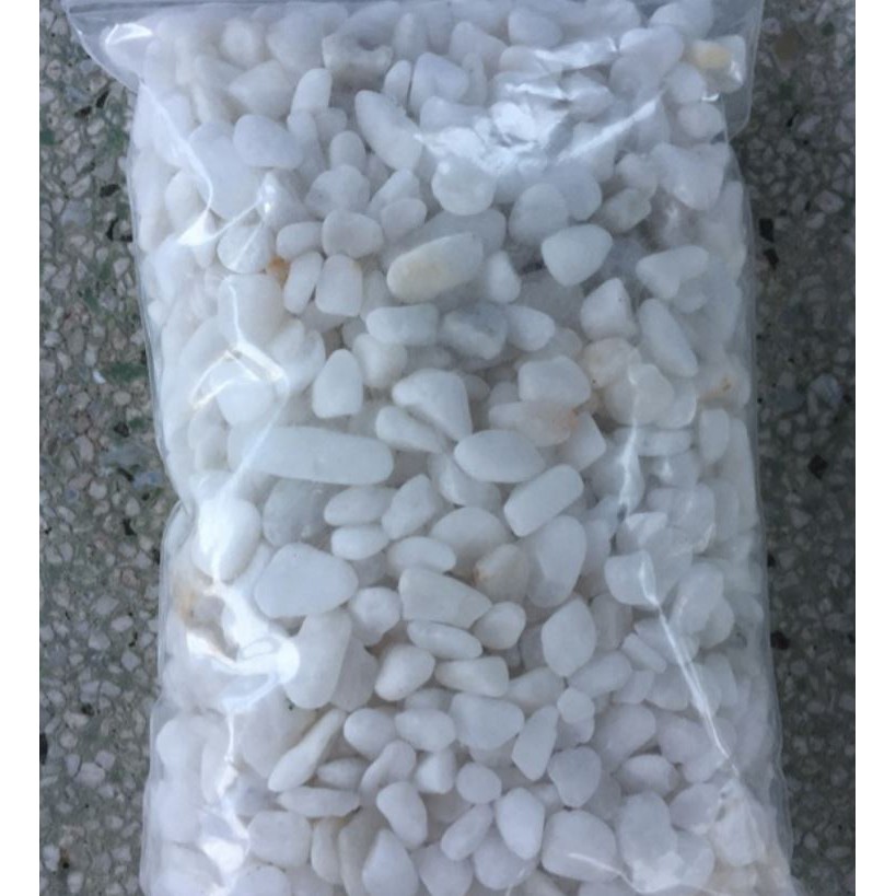 Sỏi trắng trang trí chậu cây