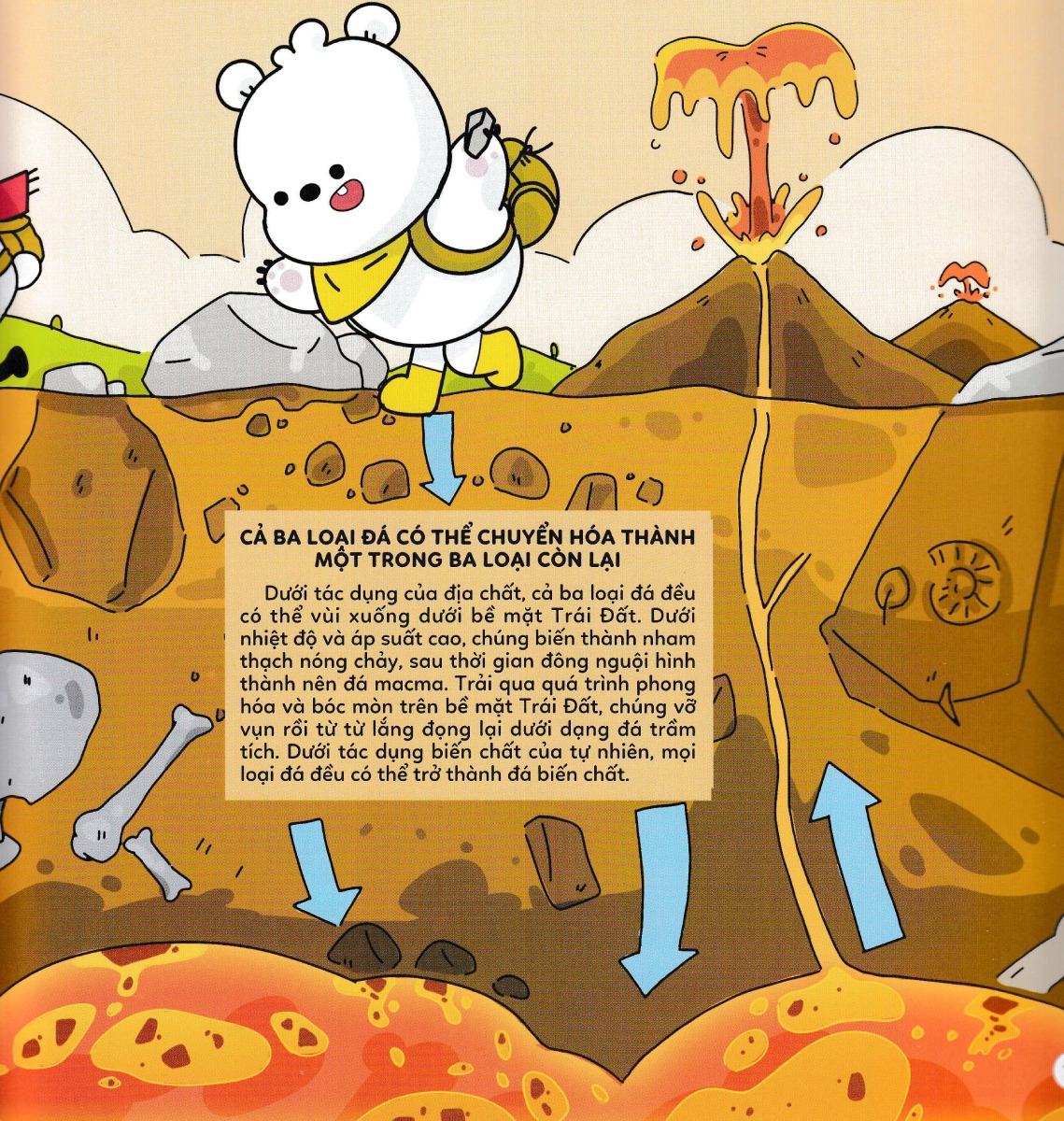 Sách Mười Vạn Câu Hỏi Vì Sao - Khám Phá Tự Nhiên - Zhihu