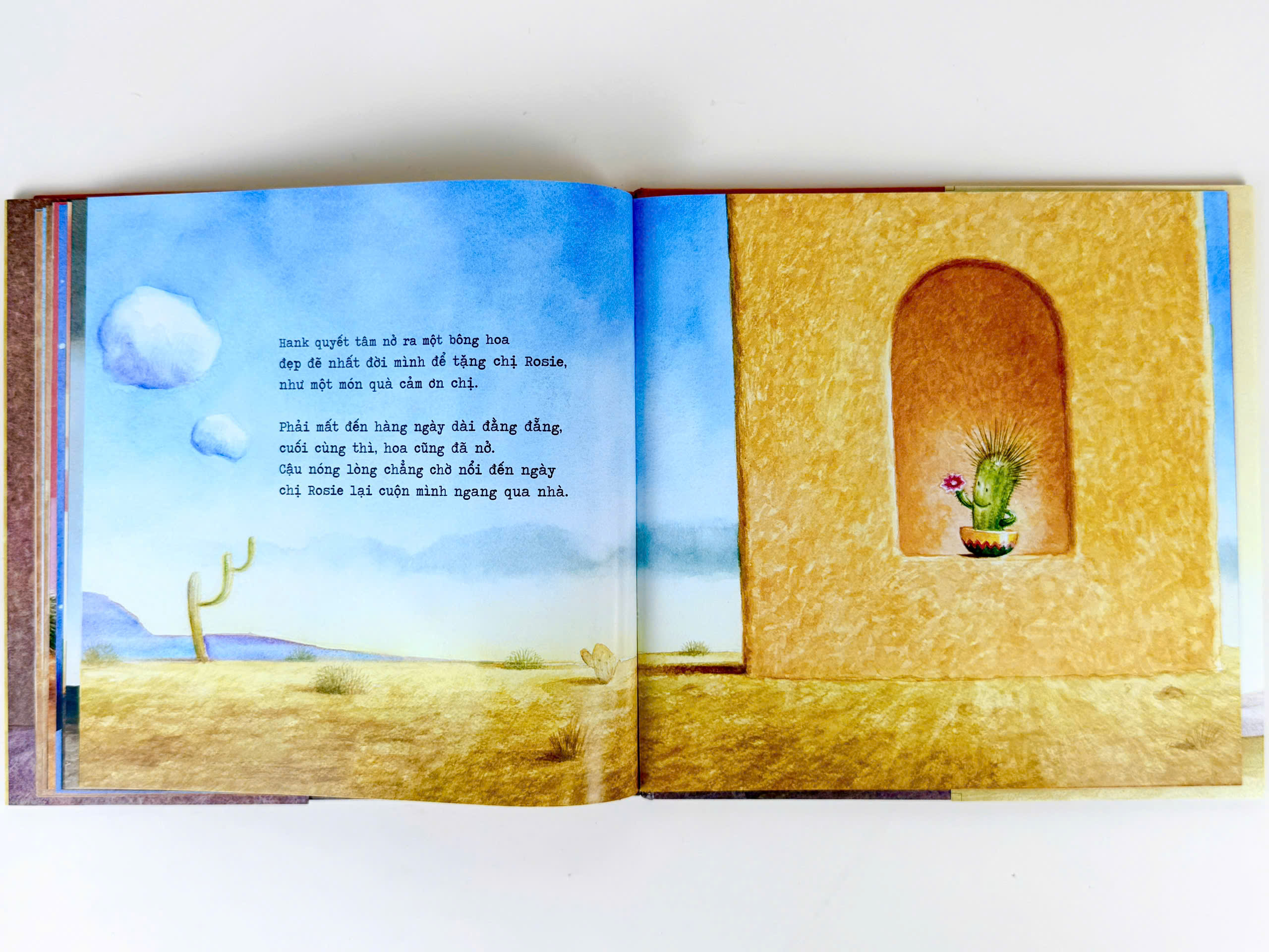 Sách - Xương rồng cũng cần lắm một cái ôm (truyện cho bé từ 3 tuổi+) - Bìa cứng