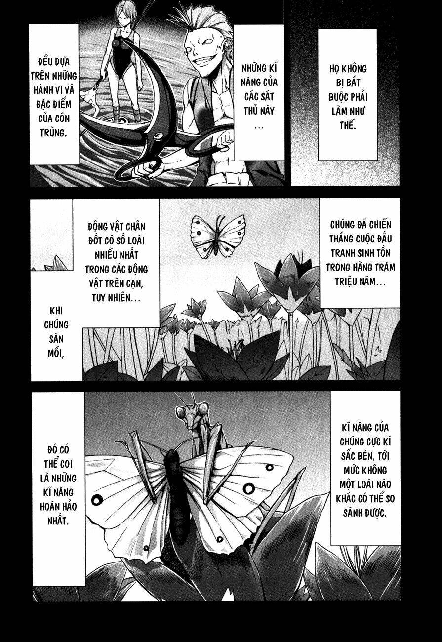 arachnid chapter 26 8