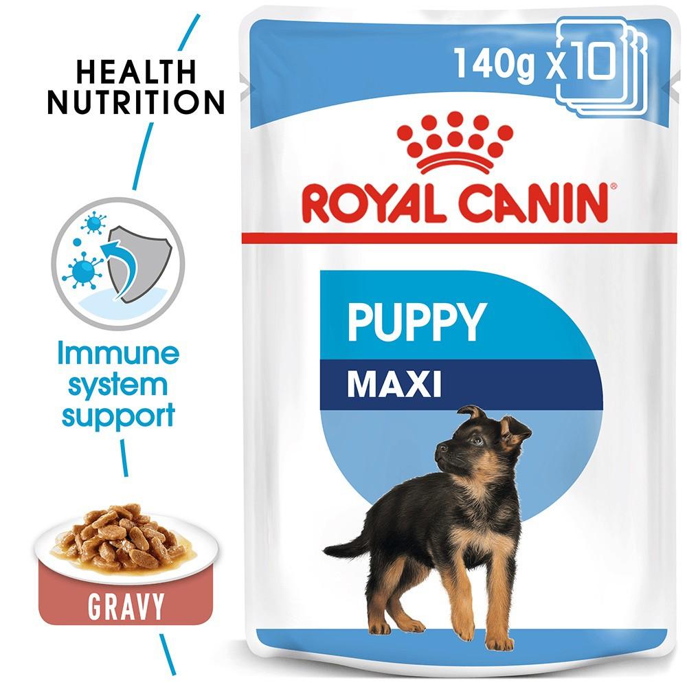 [Hộp 10 gói] Pate Cho Chó Royal Canin Maxi Puppy