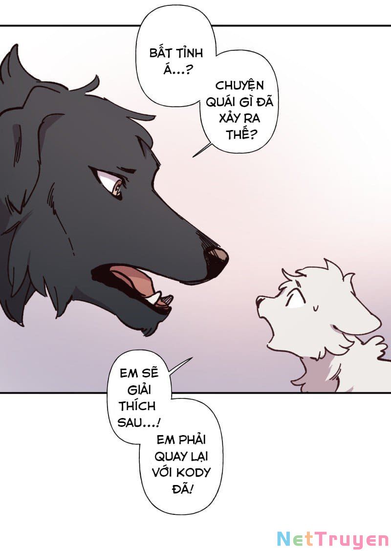 lumine - cội nguồn ánh sáng chapter 82 22