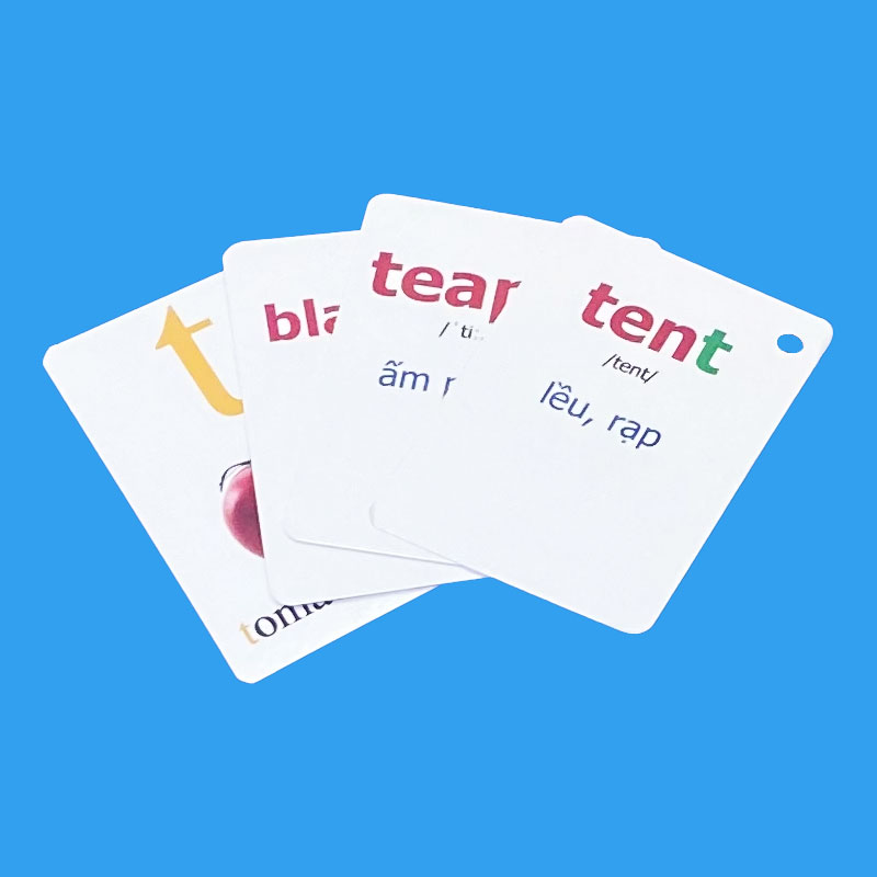 Flashcard Tiếng Anh Lớp 1,2,3 nhiều kích cỡ, có phát âm và hình ảnh sinh động