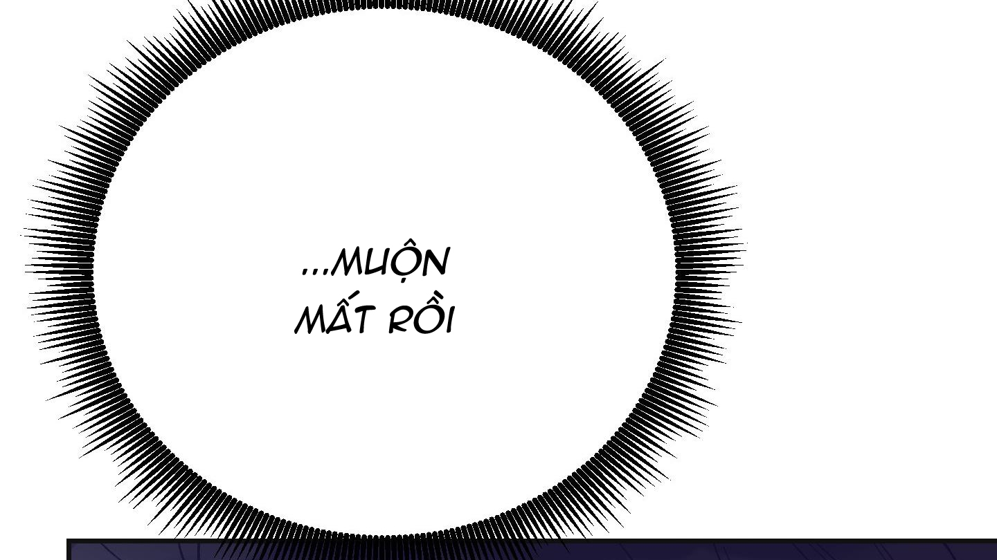 lãng mạn giả dối chapter 19 225