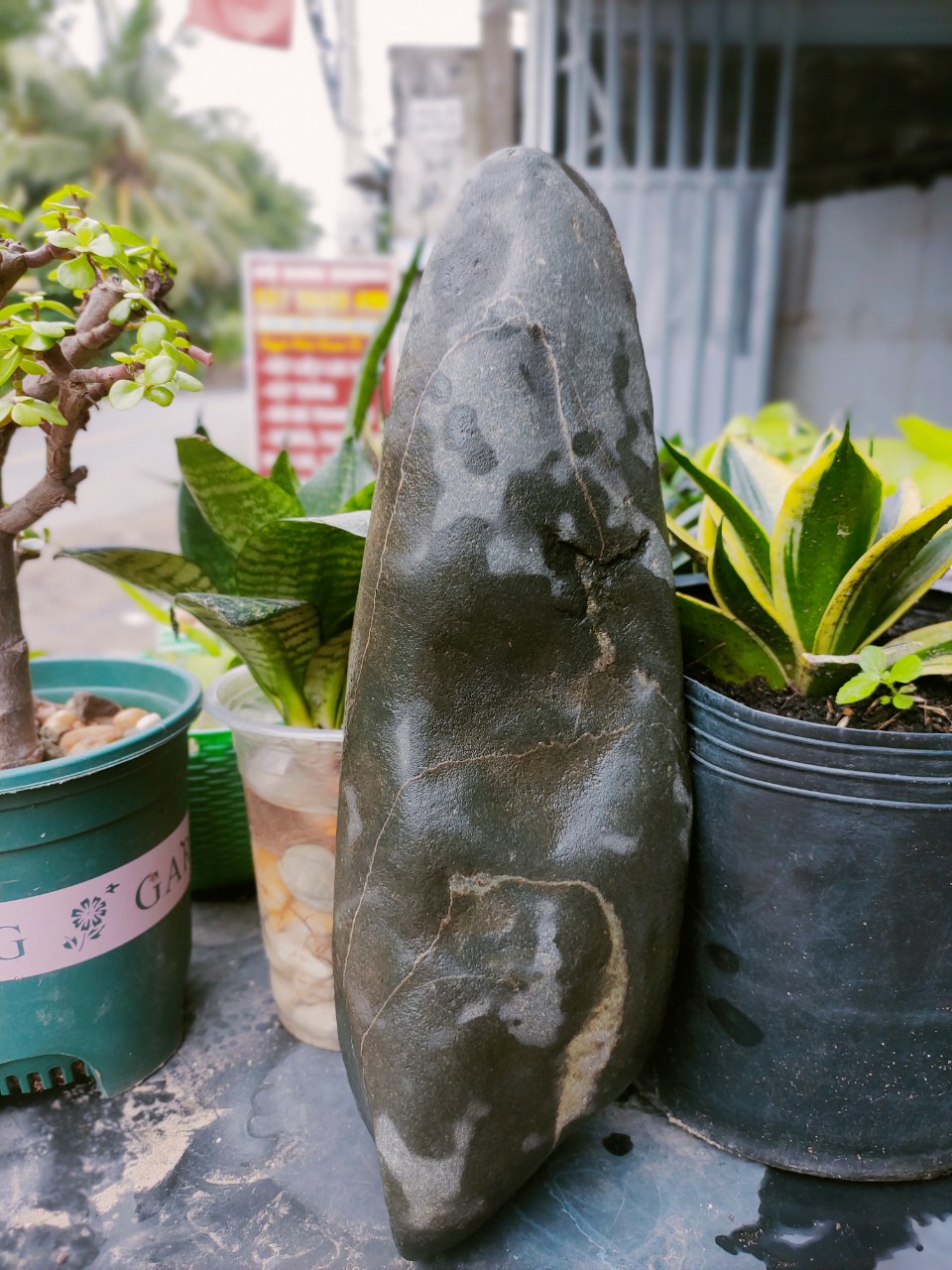 Đá trang trí sân vườn