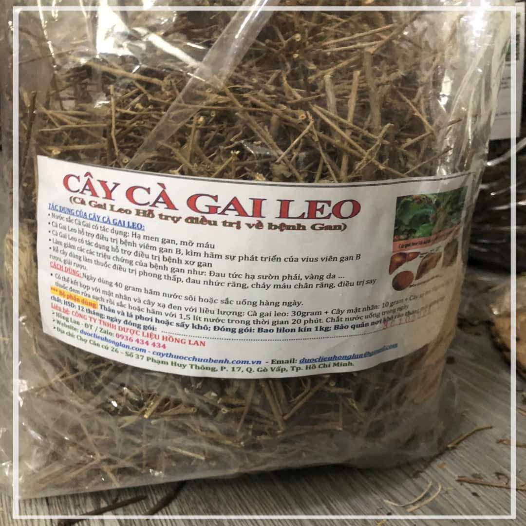 Cây CÀ GAI LEO khô sách đóng gói 1kg