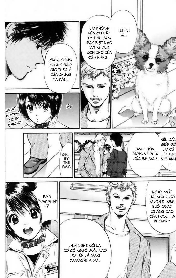 cô nàng yêu chó chapter 12 7