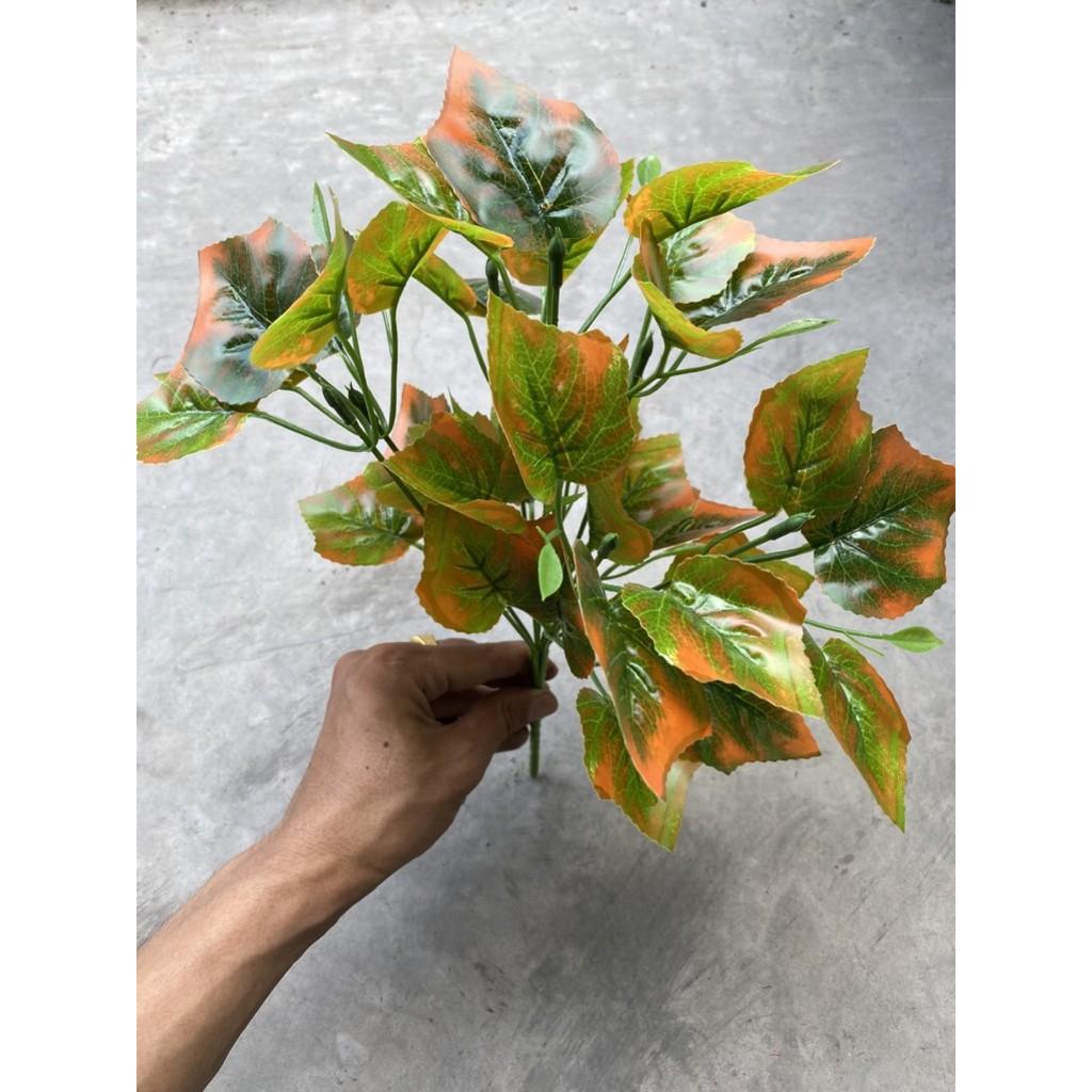 Cành lá dương sỉ điểm trang trí