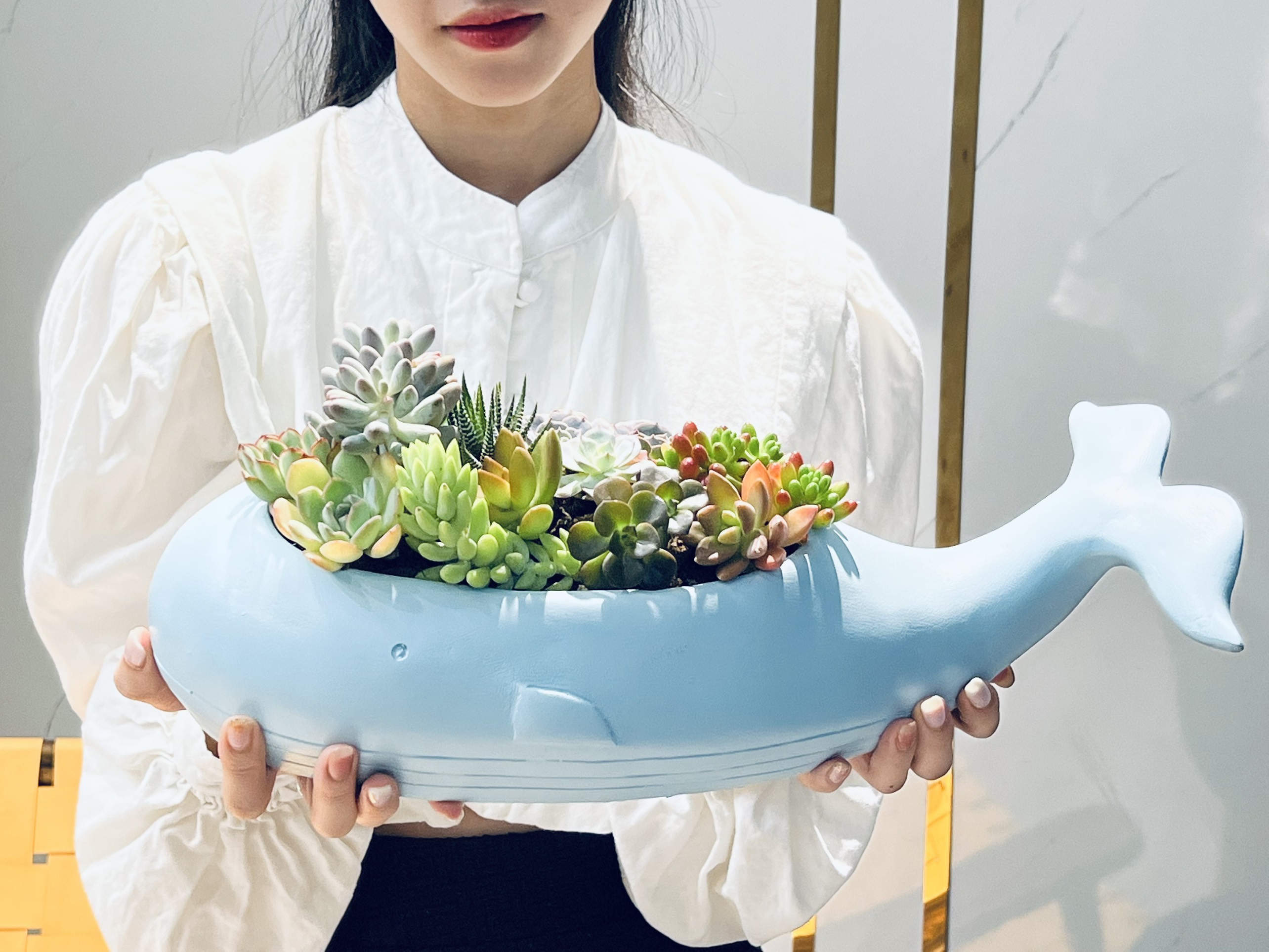 Chậu trồng cây, nuôi cá hình cá Voi - bằng Poly và sợi thuỷ tinh