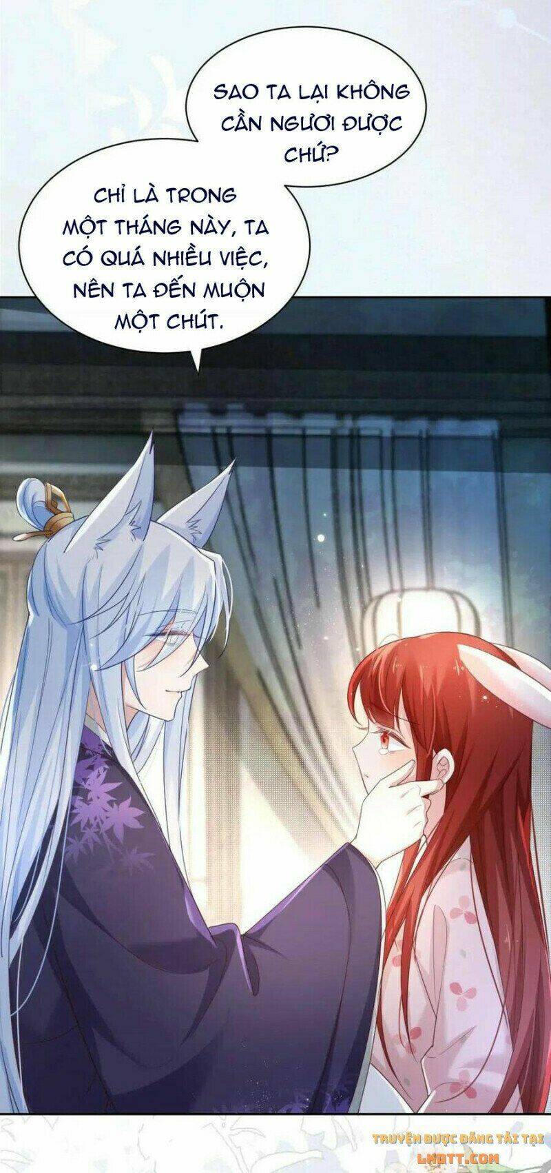 hắc hóa nam chính trực tuyến nuôi thỏ chapter 59 9