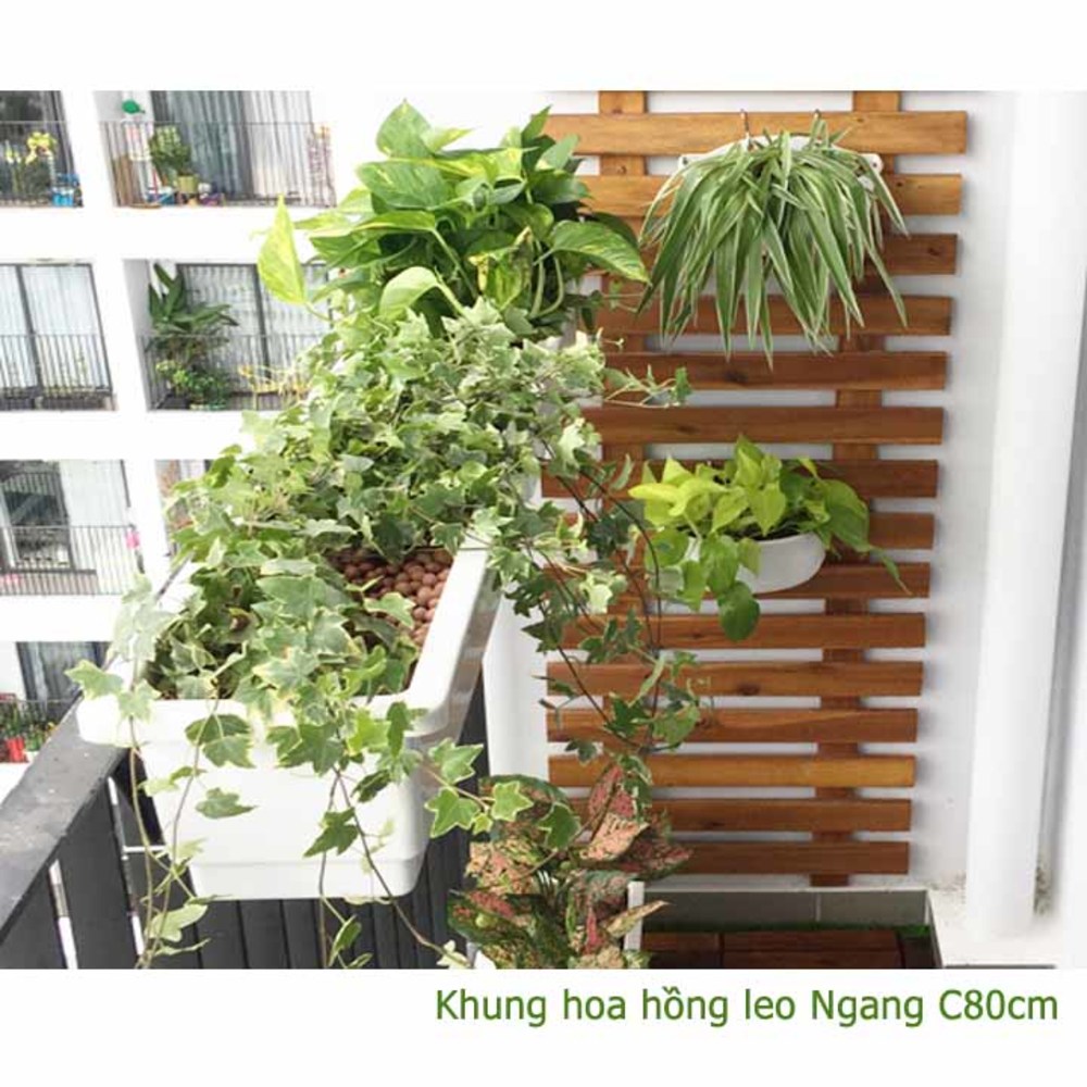 Khung hoa hồng leo Ngang GREENHOME-Chất liệu gỗ Tràm bông vàng  C80cm- Dùng làm khung hoa, trồng các cây leo