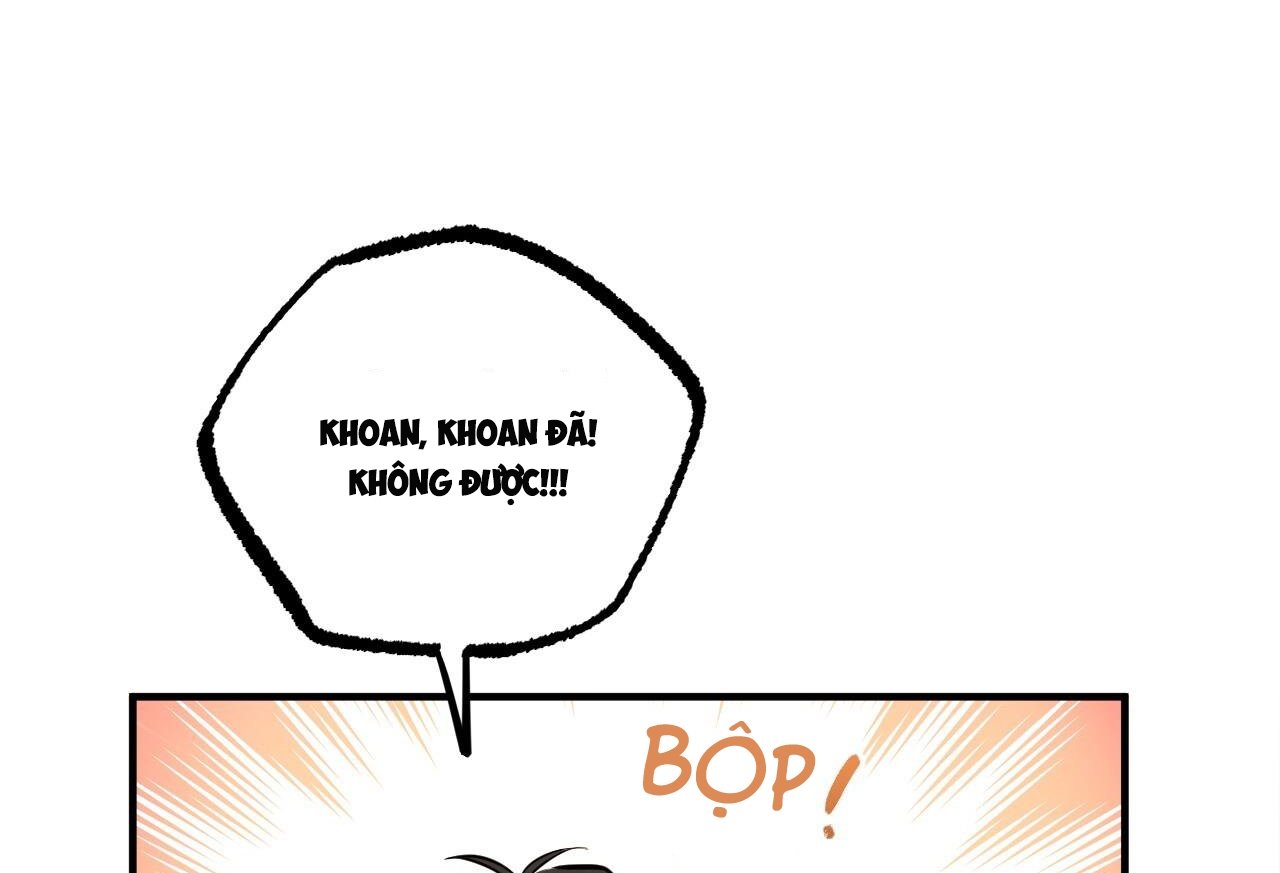 những chú thỏ của hapypy chapter 61 15