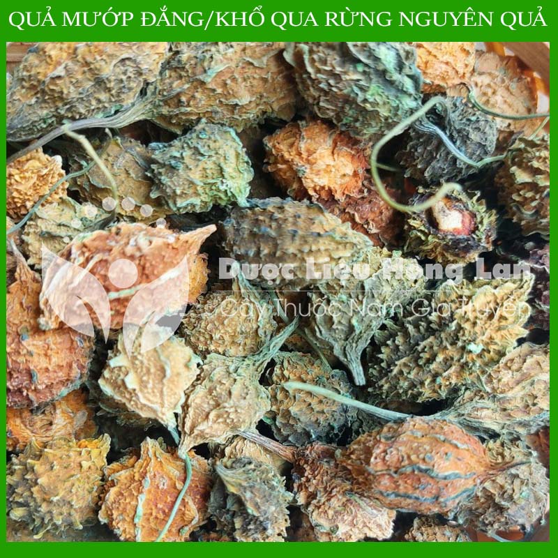 ✅ 1kg Trái khổ qua (Mướp đắng) rừng nguyên quả khô sạch