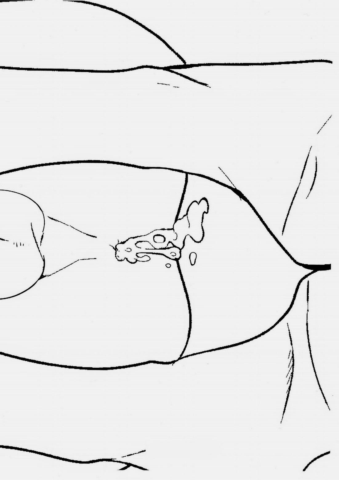 tuyển tập chjch và chjch chapter 24 13