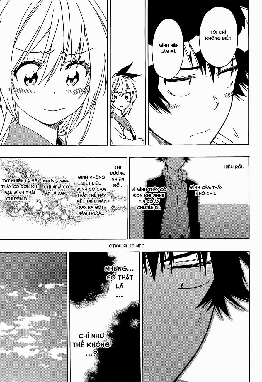 nisekoi - tình yêu giả tạo chapter 157 16