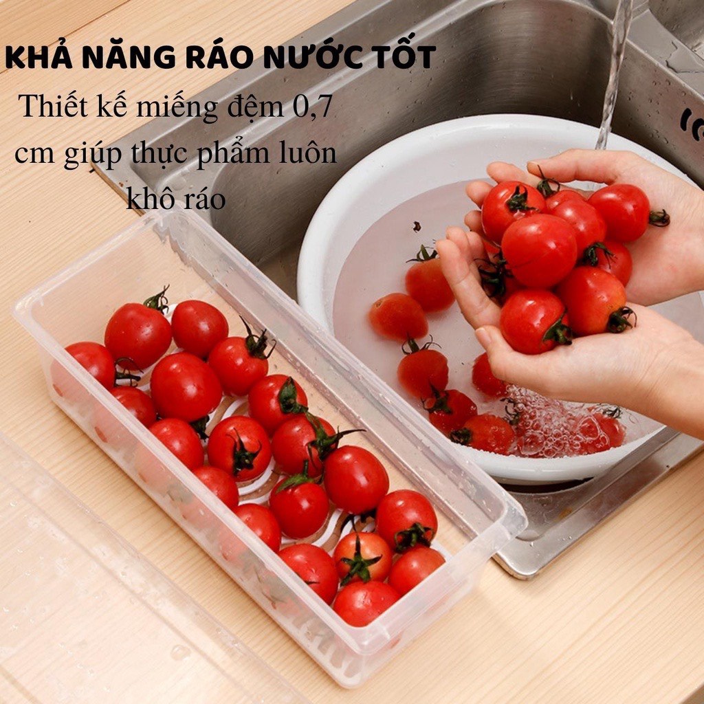 Hộp đựng thực phẩm rau củ quả có sàng dáo nước