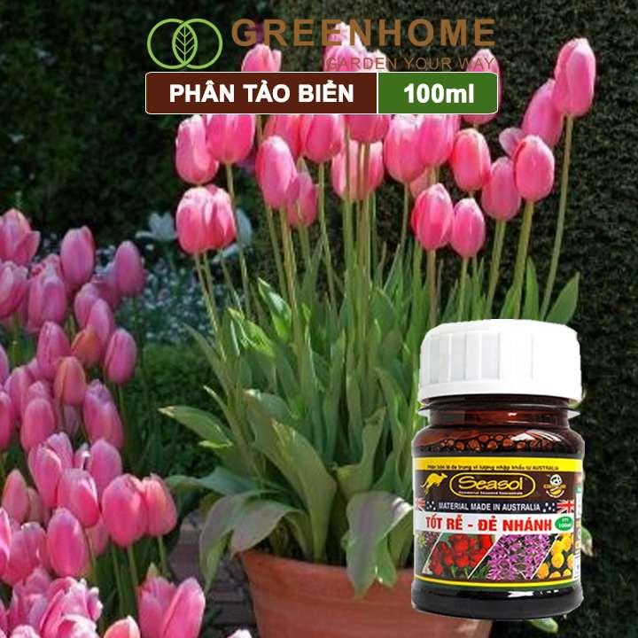 Bộ 3 phân bón lá, chai 100ml, kích rễ Orghum, đẻ nhánh Seasol, ra hoa dày cánh Powerfeed |Greenhome