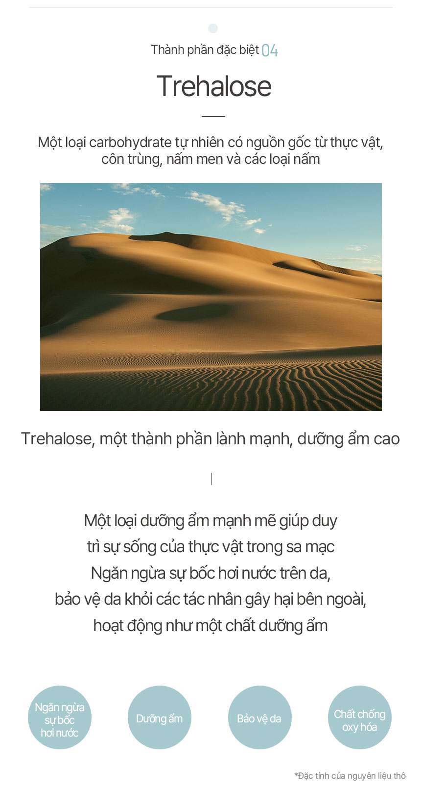 Kem Dưỡng Ẩm Da MESABLUE REFRESING BLUE GEL 1L