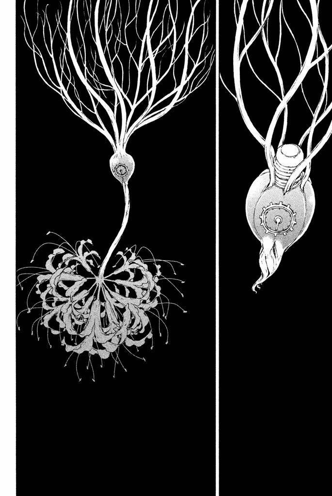 doll's folklore chapter 13 31