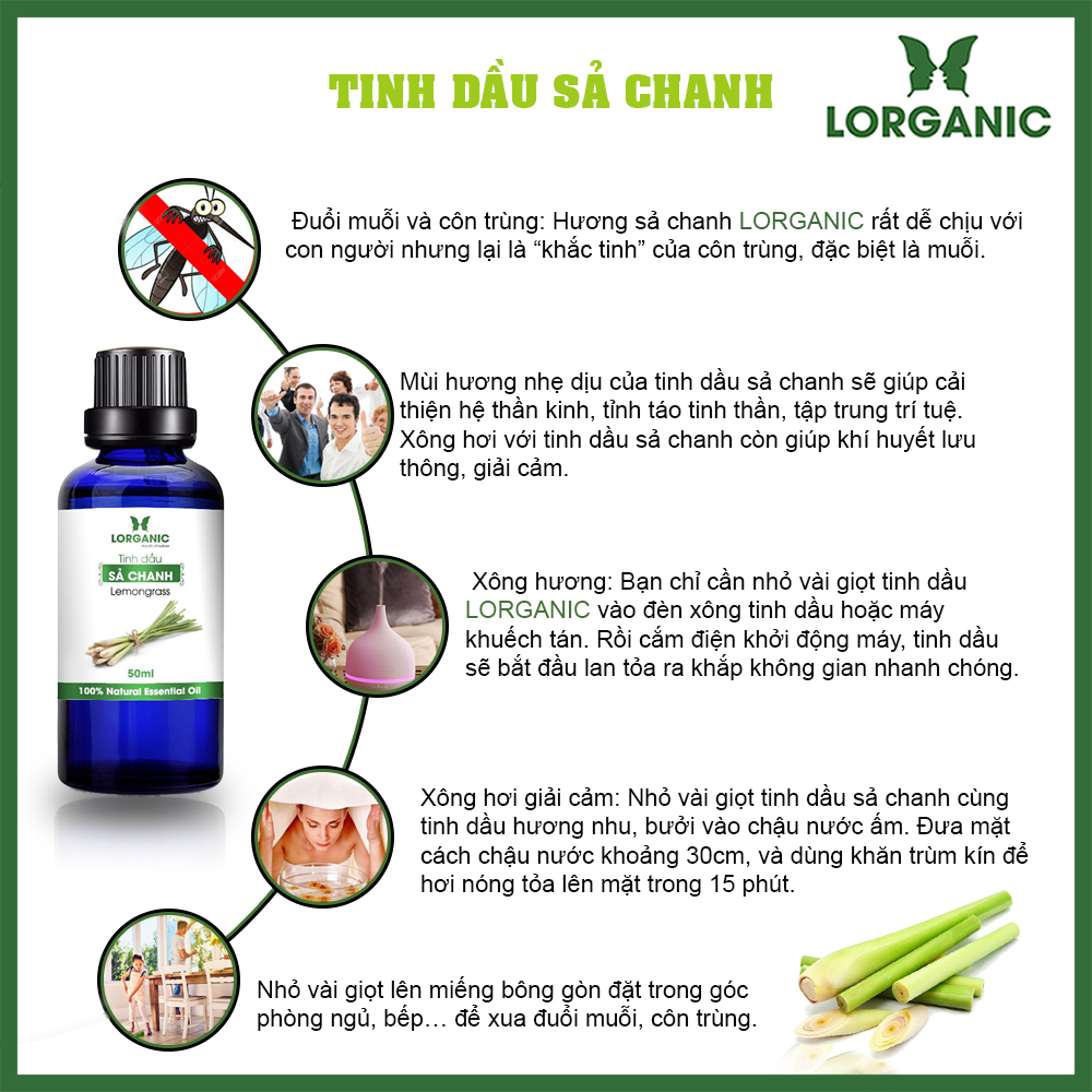 Tinh Dầu Sả Chanh Lorganic Hương Thơm Thiền Tịnh
