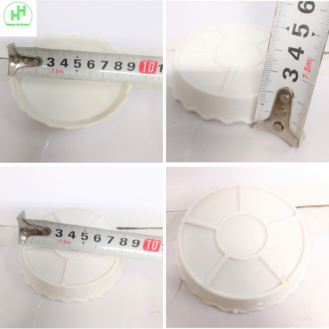 Combo 3 Chậu quả Dứa + 3 Chậu Lục giác Sen đá , trồng cây mini, xương rồng, cây để bàn, sen đá
