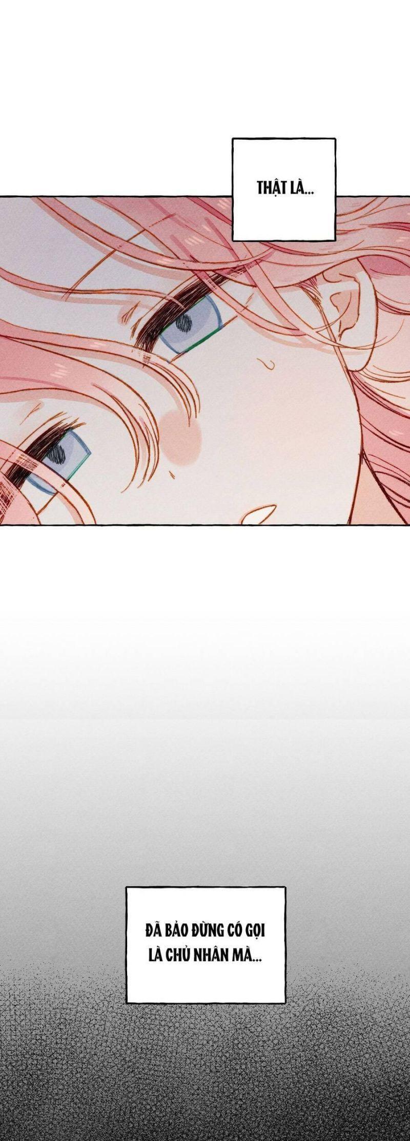 nuôi dưỡng một hắc long chapter 5 55