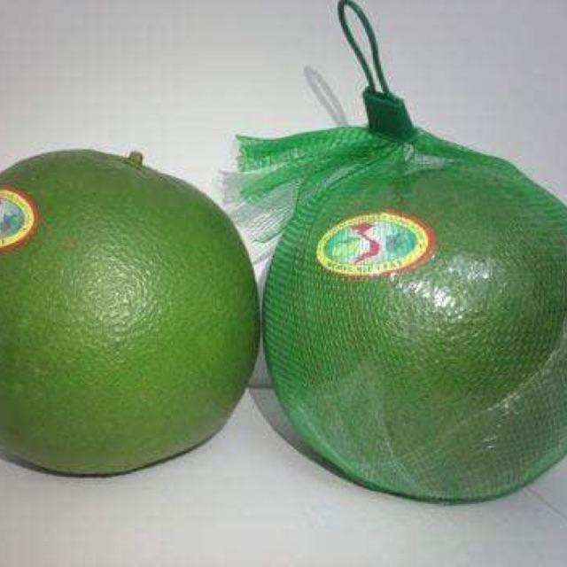 6kg túi lưới đựng trái cây hoa quả - hành tỏi - nông sản các loại