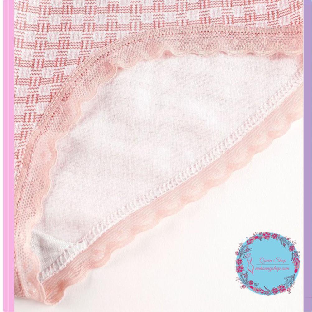 Quần Lót Cotton Sợi Bông Co Giãn Kháng Khuẩn DL101