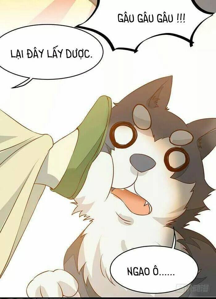 công chúa là nam nhân chapter 17.2 12