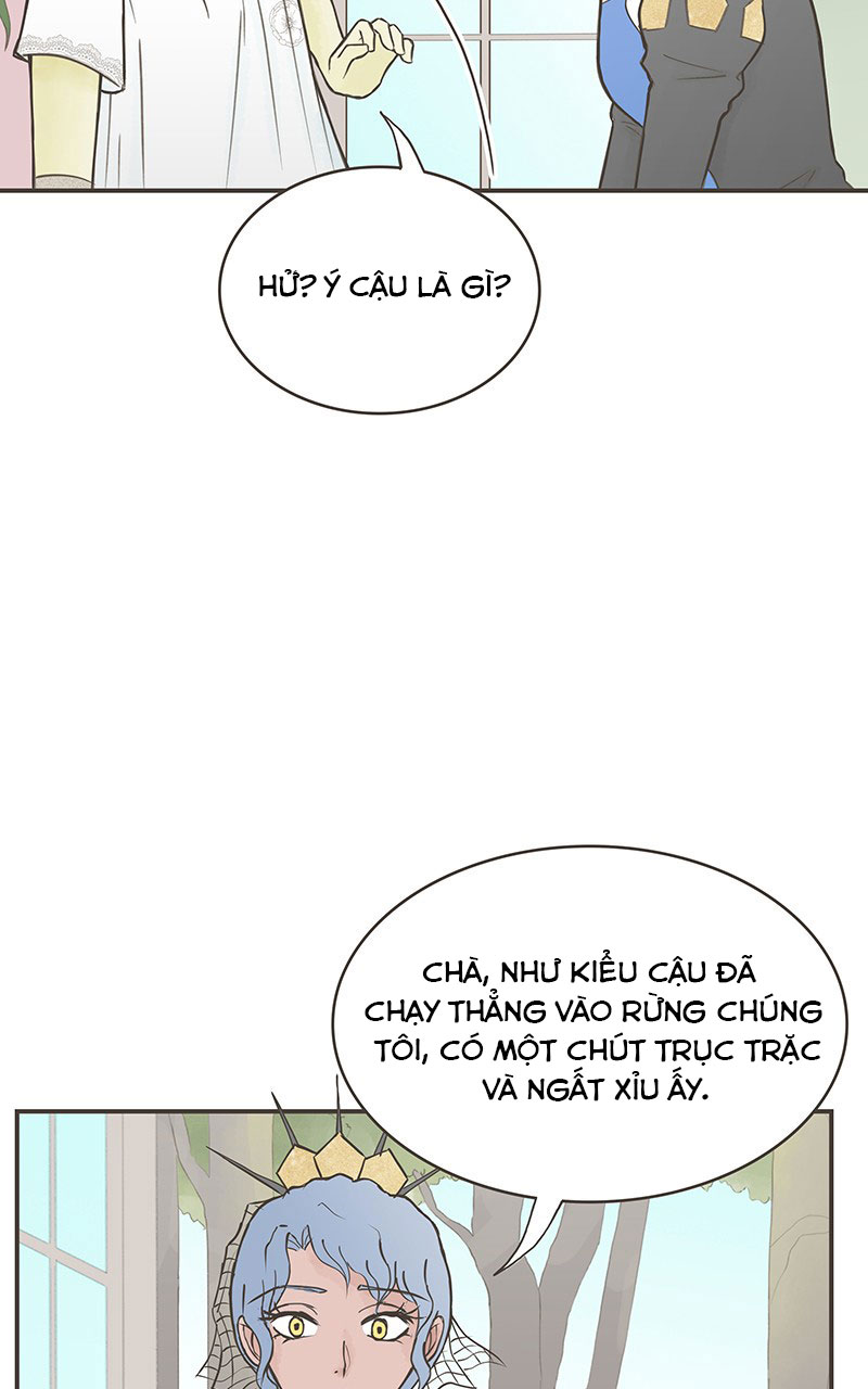 những nàng công chúa bị nguyền rủa chapter 12 16