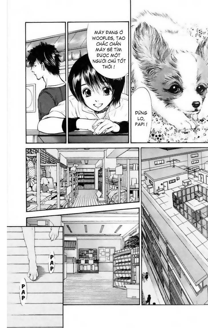 cô nàng yêu chó chapter 12 9