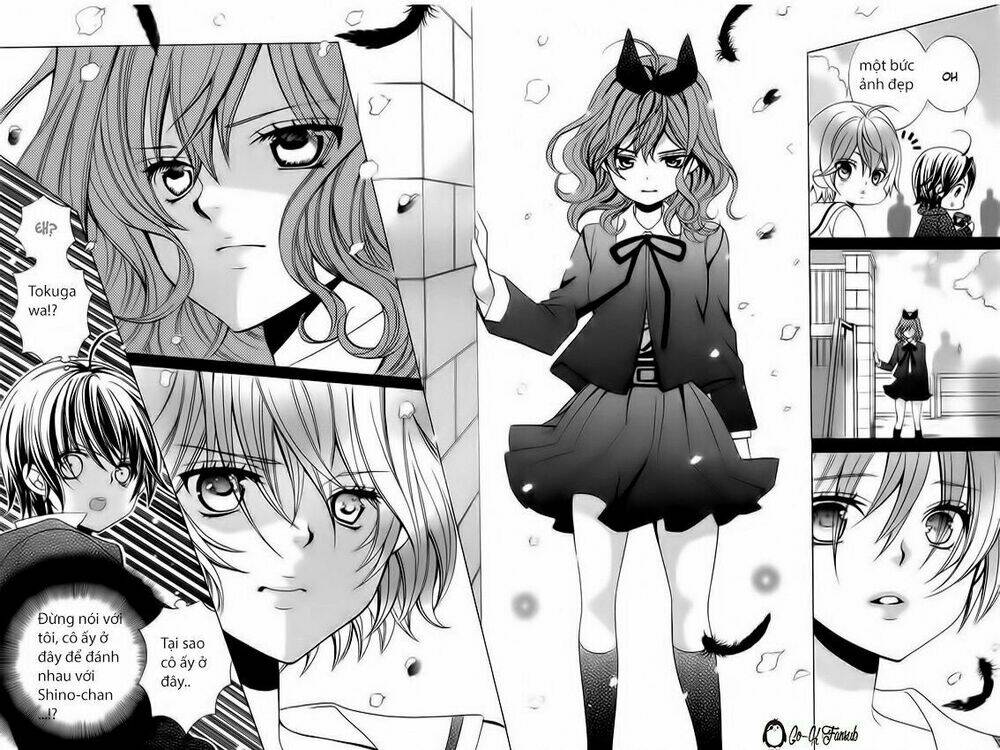 cuộc gặp gỡ diệu kỳ chapter 65 7