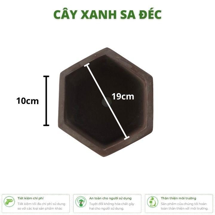 Chậu lục giác đáy cạn hoa văn chữ tàu và cành tre trúc CK26 trồng cây cảnh để bàn, trang trí sân vườn