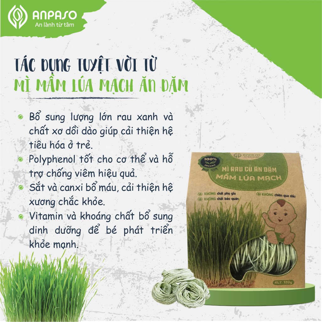 Mì Rau Củ Ăn Dặm Mầm Lúa Mạch Organic Anpaso 120g