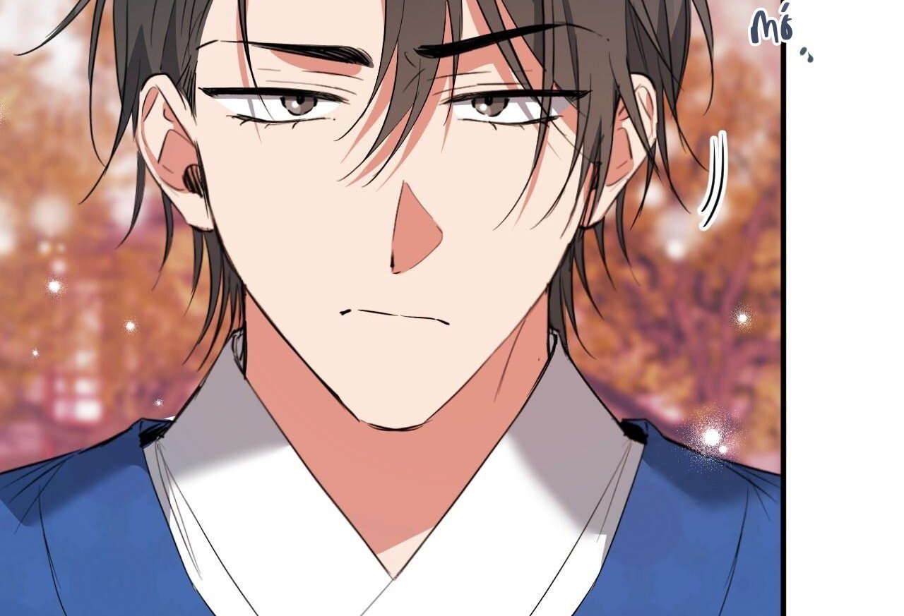 những chú thỏ của hapypy chapter 65 167