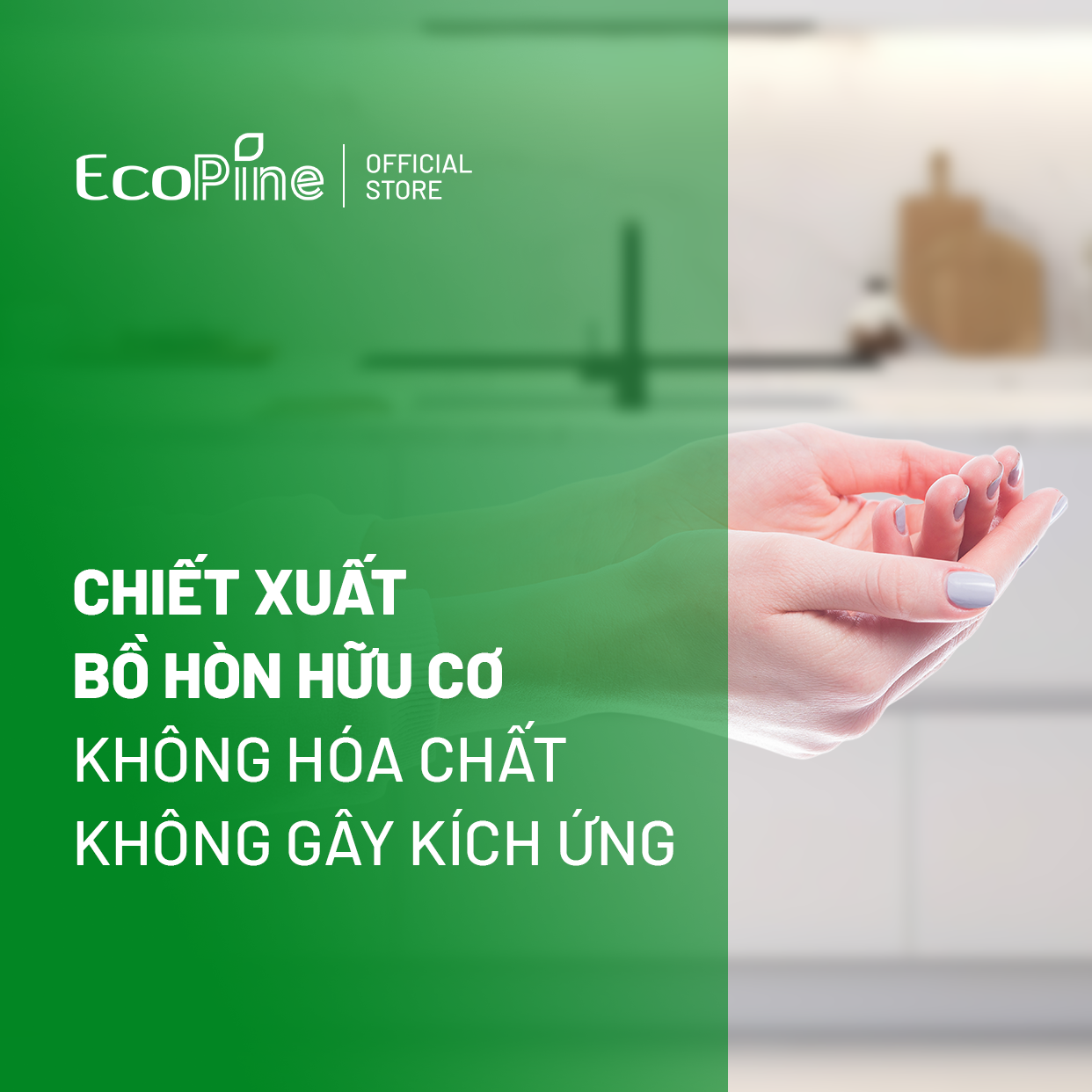 Nước rửa chén hữu cơ bồ hòn ECOPINE 500ml - Tinh dầu Sả Chanh