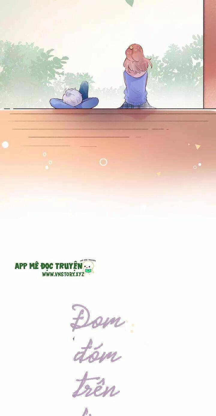 trạch thượng tịch mịch huỳnh hỏa chapter 61 6