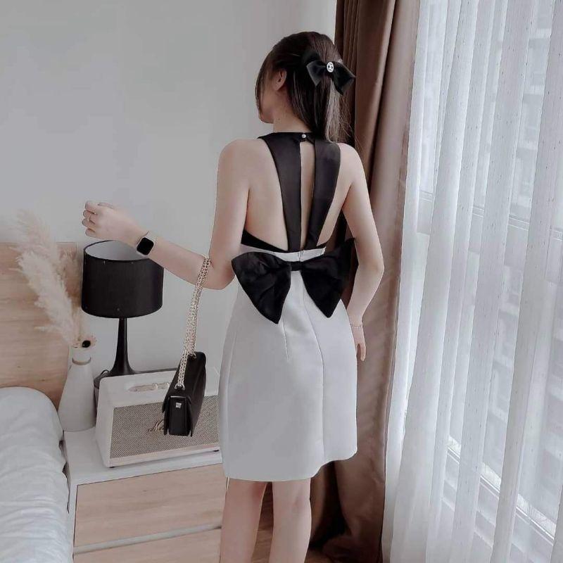 ĐẦM PHỐI NƠ LƯNG 2 DÂY BẢN TO (CÓ MÚT NGỰC)