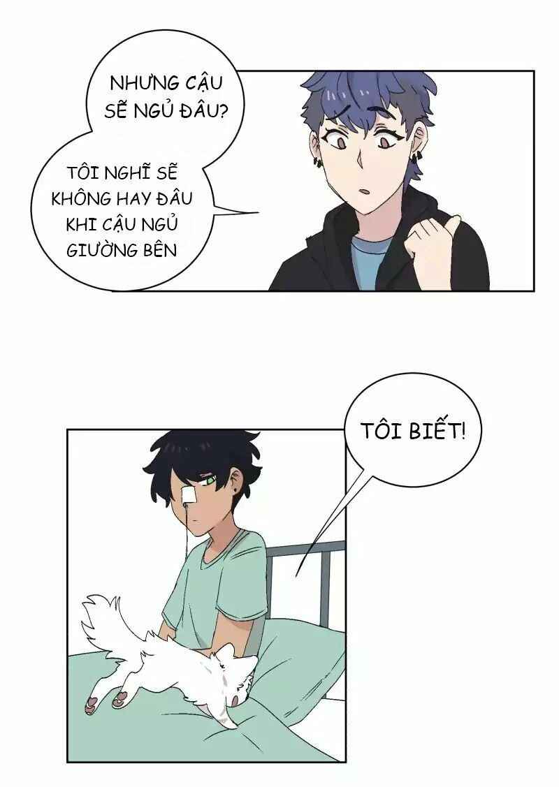 lumine - cội nguồn ánh sáng chapter 32 29