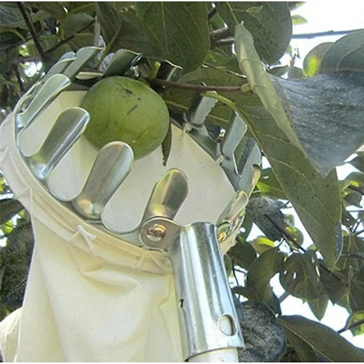 Dụng Cụ Hái Trái Cây Đa Năng Nhiều Cỡ PaKaSa - Hàng chính hãng