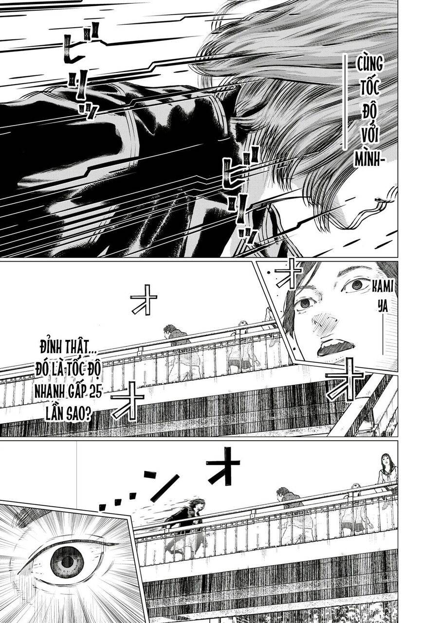 mật danh: nostra chapter 23 7