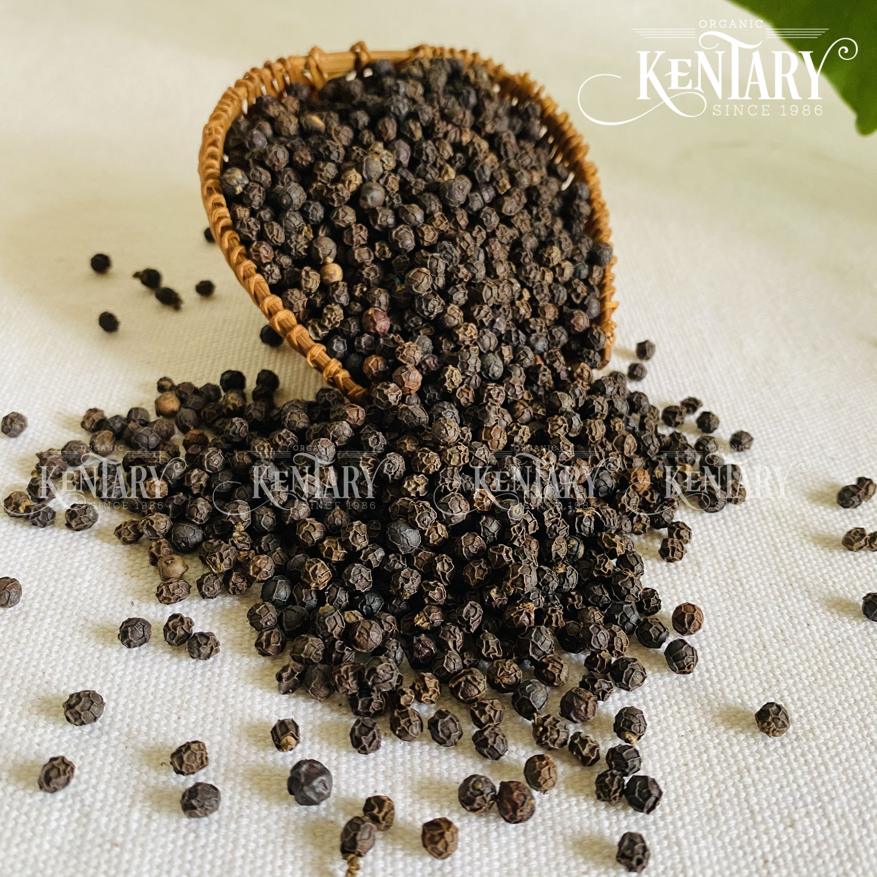 Hạt tiêu đen Gio Linh organic Kentary túi 100gr - Trồng đất đỏ bazan - Hạt chắc, thơm nồng cay đặc biệt, không hóa chất