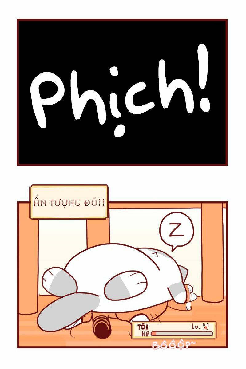 saphie: chú mèo một mắt chapter 16 10