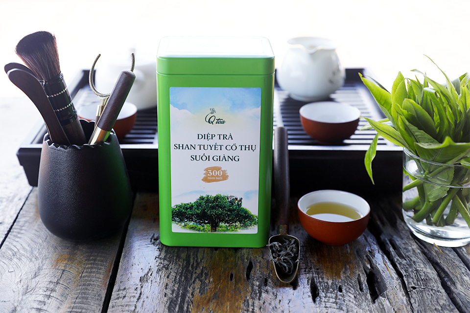 Lục trà Shan Tuyết cổ thụ Suối Giàng 300 Tuổi-Qtea-Hộp 200g