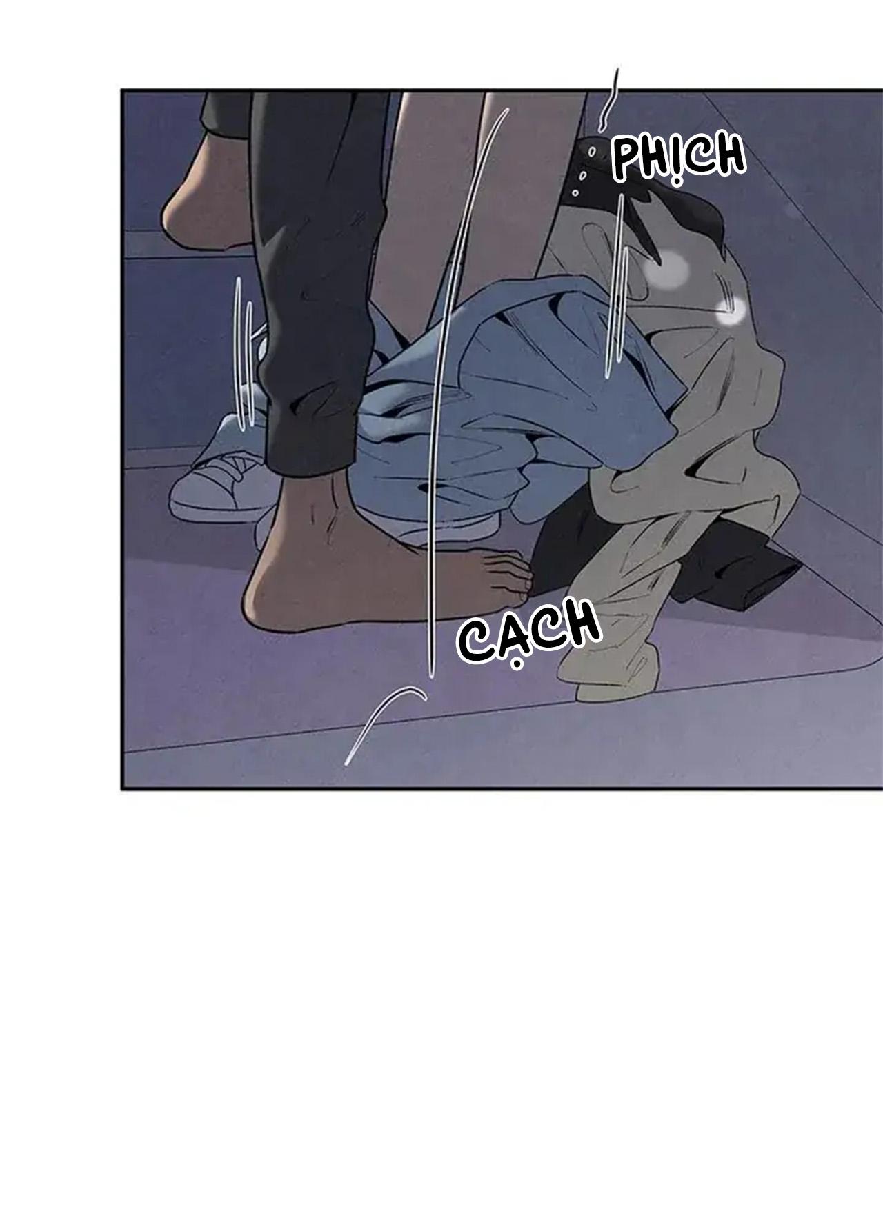 bona sort chapter 56 70